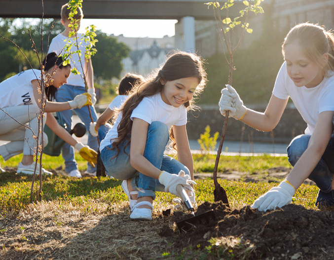 Responsabilité civile conjointe
